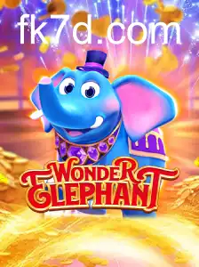WonderElephant